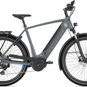 Gazelle Ultimate T10